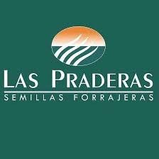 WhatsApp Image 2025-10-17 at 11.08.43